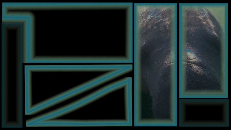 Video excerpt featuring a landscape format musically responsive animation featuring manatees.